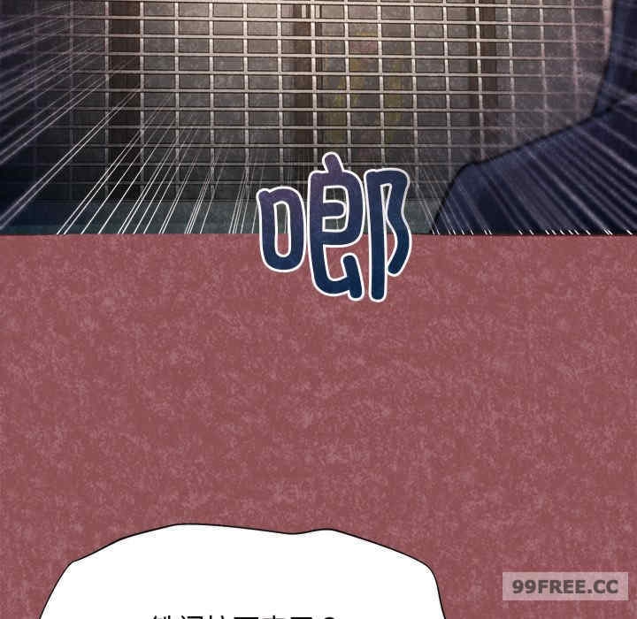 339.jpg